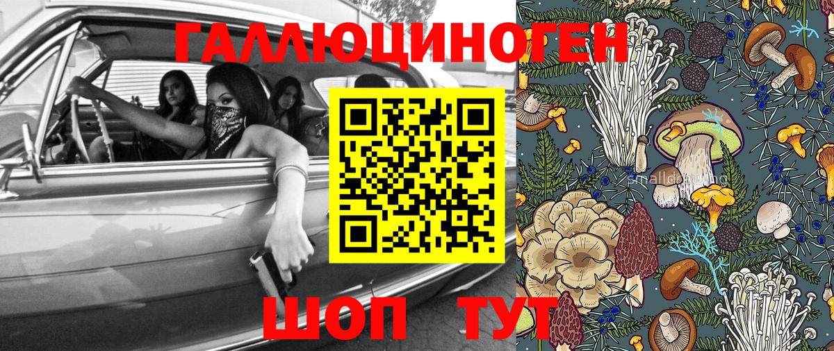 Псилоцибиновые грибы Cubensis Ковров