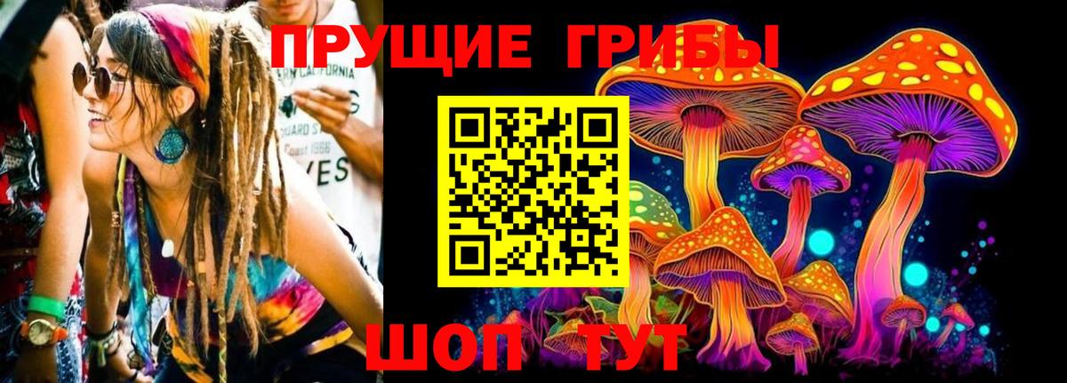 Галлюциногенные грибы Magic Shrooms  Вход с VPN  Галлюциногенные грибы MAGIC MUSHROOMS  Ковров 